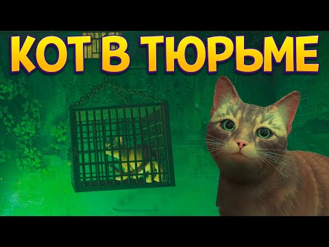 Видео: КОТ ЖИВЕТ В ТЮРЬМЕ ( Stray )