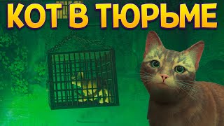 картинка: КОТ ЖИВЕТ В ТЮРЬМЕ ( Stray )