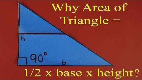 Why area of the triangle  is 1/2 x base x height? - Part 2 | English