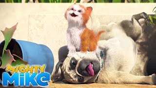 MIGHTY MIKE 🐶 Feline a little Racoon 🤪 Episode 13 - Full Episode - Cartoon Animation for Kids