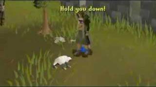 Rsmv Feeder - Just A Day