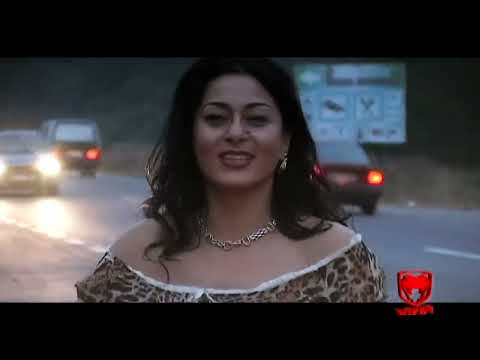 Calin Crisan & Luminita Puscas - Sunt sofer pe camion