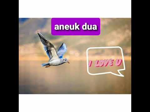 Aneuk dua lagu aceh lagenda