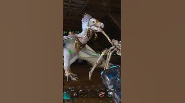Naughty yi ling #arksurvivalascended #arklife #arkaberration #ps5