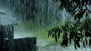 Fall into Deep Sleep Immediately with Relaxing Heavy Rain & Loud Thunder Sounds in Garden at Night