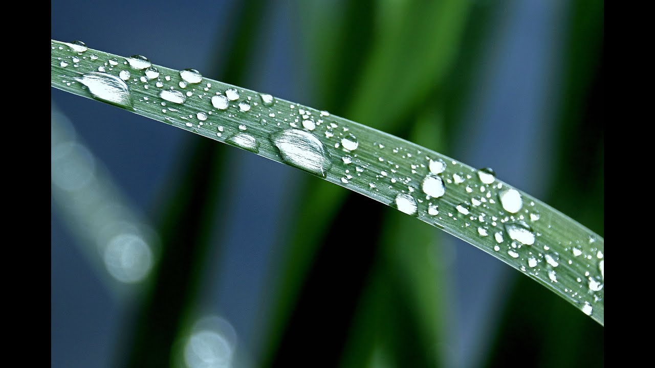 Rain Drops in 4K HD - YouTube