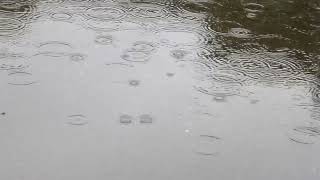 Rain Drops 87103 PJP's Edit   Made with Clipchamp