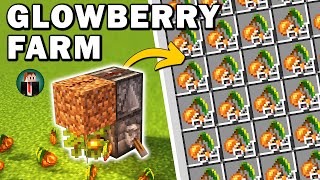 EASY Glow Berry Farm in Minecraft 1.20.2