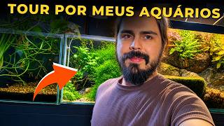 🔴TOUR POR TODOS OS MEUS AQUÁRIOS PEQUENOS |Mr. Betta|