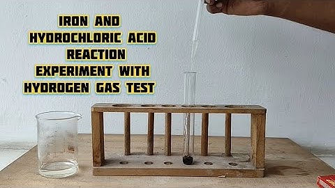 Iron metal and Hydrochloric acid reaction experiment with Hydrogen gas test  #scienceexperiment 