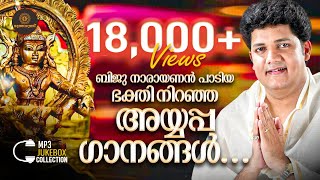        Biju Narayanan  Ayyappa 