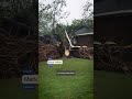 Family Recounts Moment Tree Falls On Home