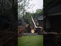 Family Recounts Moment Tree Falls On Home