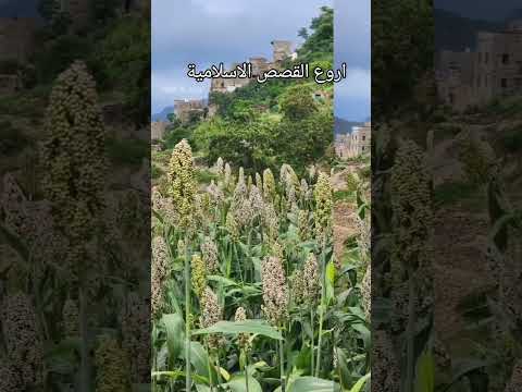 قصص اللهم صل وسلم على نبينا محمد