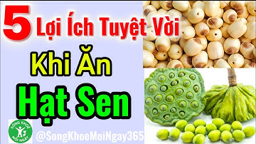 Ăn Hạt Sen Có Lợi Ích Gì Cho Sức Khoẻ? #songkhoe #dinhduong #health #suckhoe