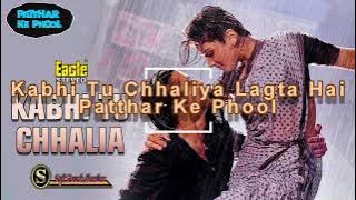 Kabhi Tu Chhalia Lagta Hai (EAGLE Jhankar)