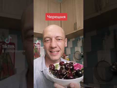 Черешня ягода черешняягода черешня ягода олегбуянов буяновсыроед 