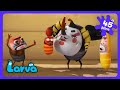 Larva - Sminke-moro! Dans nå! | Barne-TV | WildBrain Eventyrfjellet