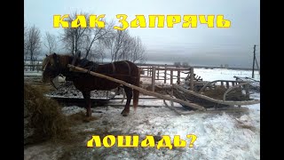 Как запрячь лошадь в русскую дуговую упряжь//Жизнь в деревне