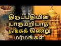 Mysterious golden well of Tirupati Balaji temple | unknown facts of Tirupathi EP1