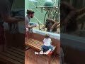 The orangutan wanted to see my baby!￼ Mp3 Song