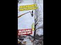 2026 Blizzard Cleanup! Neighbors's Tree About to Take Out the Power Lines!