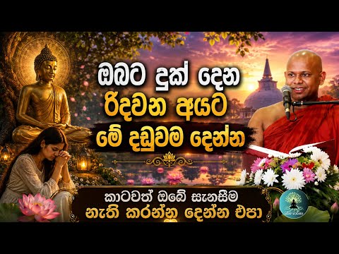 ඔබට දුක් දෙන රිදවන අයට මේ දඩුවම දෙන්න /වැලිමඩ සද්ධාසීල ස්වාමීන්  ☸🙏🪷
