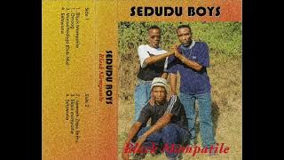 Sedudu Boys - Zwethu Zwee Bathu