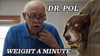 Dr. Pol Helps Brutus With a Large Problem...