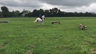 Ad ref 242957    Video 2