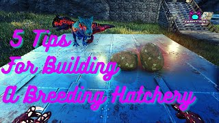 5 Tips for Building A Breeding Hatchery