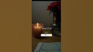 تلاوة جميلة جدا جدا 💔#سعد_الغامدي #تلاوة_خاشعة #قران_كريم #راحة_نفسية