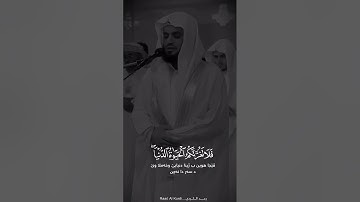 رعد الكردي سورة لقمان #رعد_الكردي #سورة_لقمان #قرآن_كريم #raadalkurdy #القرآن #quran