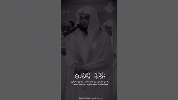رعد الكردي سورة لقمان #رعد_الكردي #سورة_لقمان #قرآن_كريم #raadalkurdy #القرآن #quran