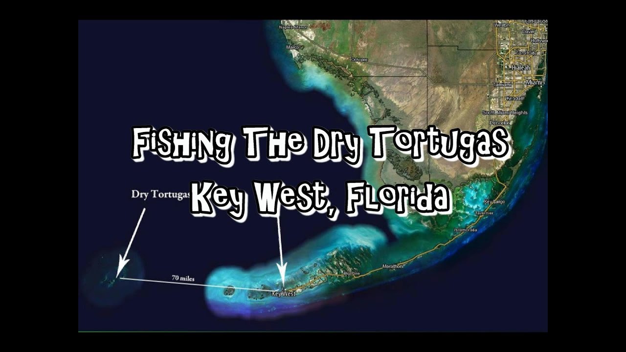 Fishing The Famous Dry Tortugas Key West Florida YouTube
