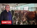 Završila 3 fakulteta, pa otišla na selo (VIDEO)