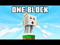 a ghast spawned on my one block world... (One Block #8)