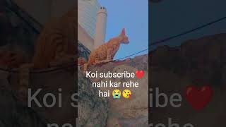 Subscribe❤ please😭🙏🥺@Allgame-m9i #viral 🔥🔥🔥🔥🔥🔥🔥🔥🔥🔥🔥🔥☺☺☺☺☺☺☺☺☺☺☺☺☺☺☺☺☺☺☺☺☺