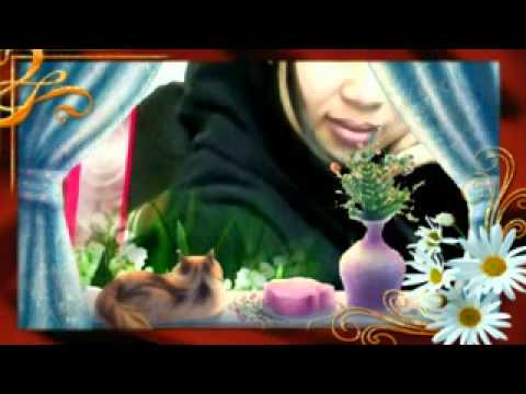 bunga cinta.sonia