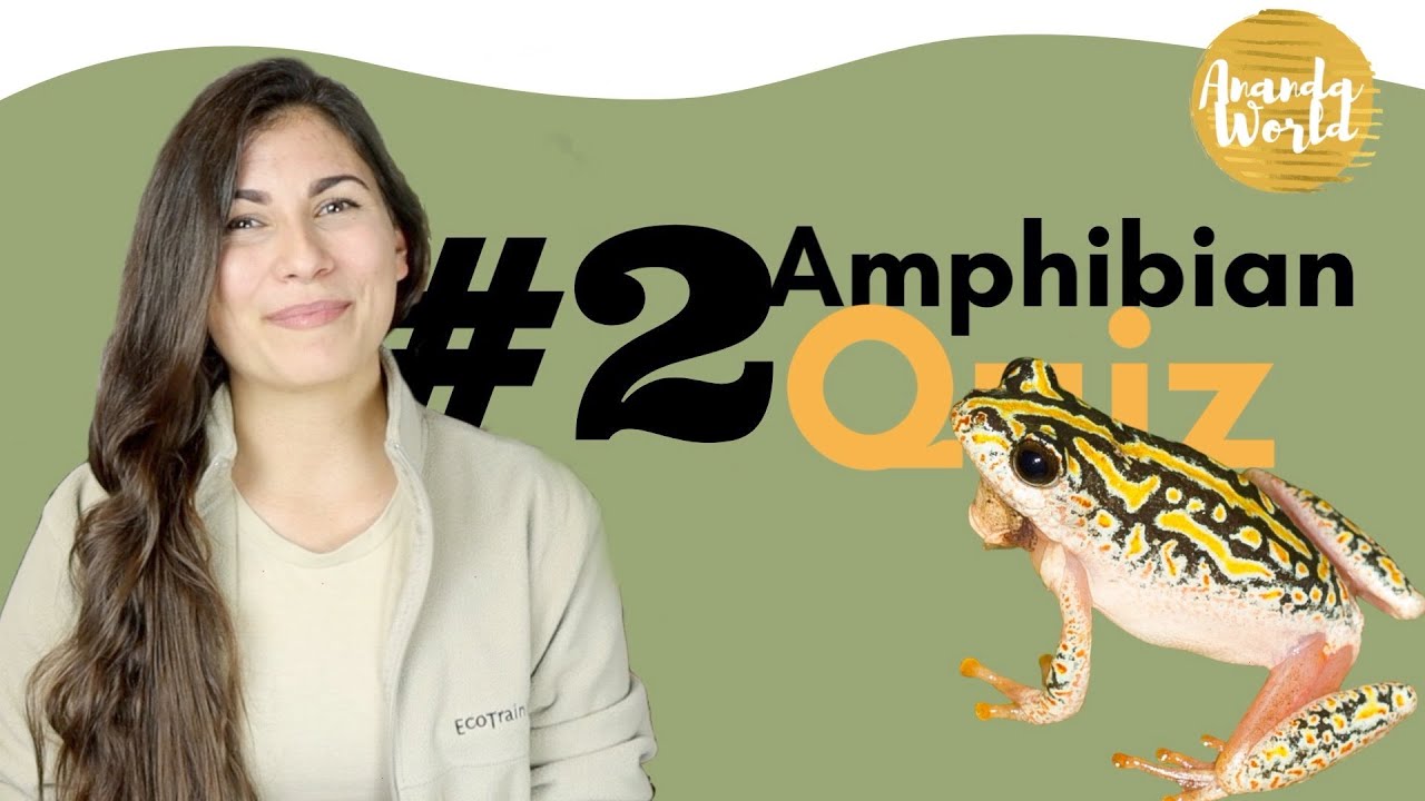 AMPHIBIAN CALL QUIZ PART 2 - Your Guide to Guide for Field Guide Students
