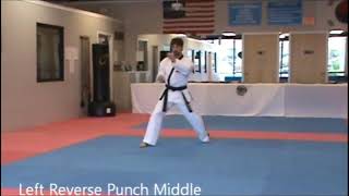 2nd Dan Decided Black Belt: Yoo-Sin screenshot 1