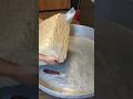 😱🤯How chashews Are Processed #facts #shorts #youtubeshorts