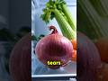 Why Do Onions Make Us Cry? 🧅😢