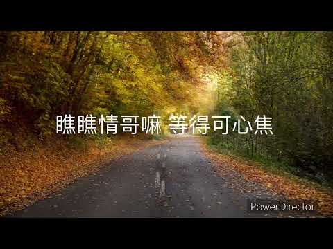 情人橋 林淑蓉 #linshurong  #林淑蓉
