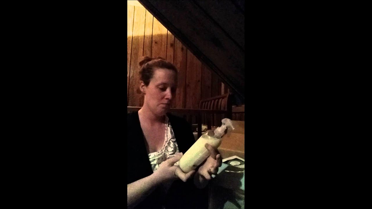 The Pony Box: December