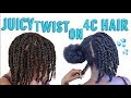 (EASIEST!!!) Mini-Twist On 4c Natural Hair// Low Maintenance Protective Style