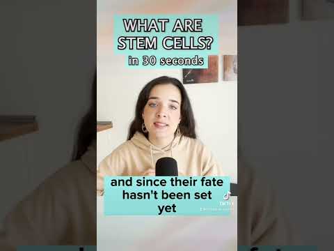 Vídeo: Són cèl·lules mare multipotents?