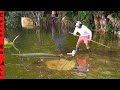 Catching FISH SWIMMING in FLOODED BACKYARD!