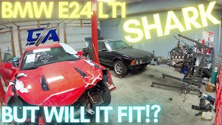 Part 2: Let Me Introduce You To The SHARK!!