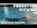 How to do freestyle kick | easy technique | easy freestyle kick | #yt #swimming #youtube #video